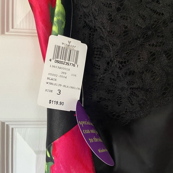 Windsor Formal Dress - Picture 5 of 5